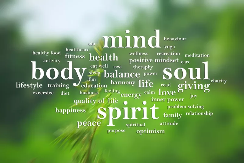 wellness