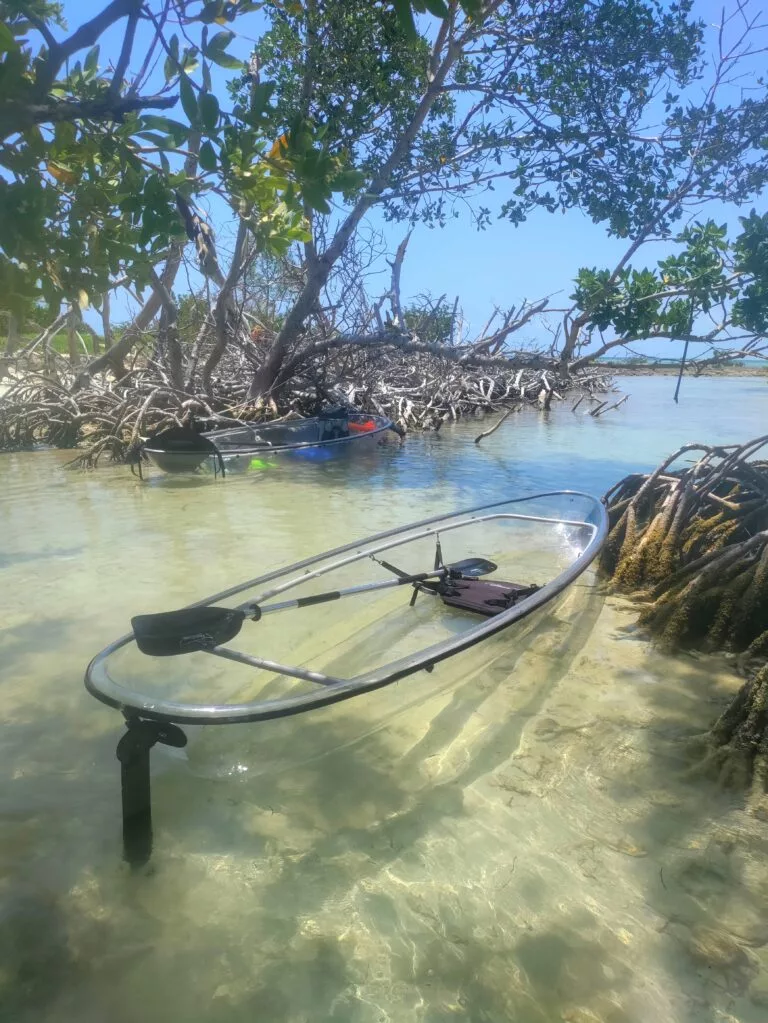 Island Glow neon kayak tour